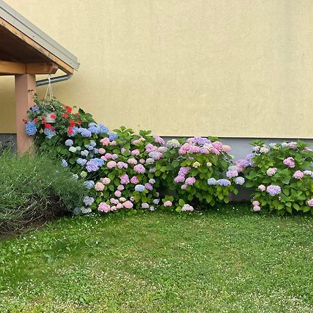 Apartments Dora Poreč Dış mekan fotoğraf
