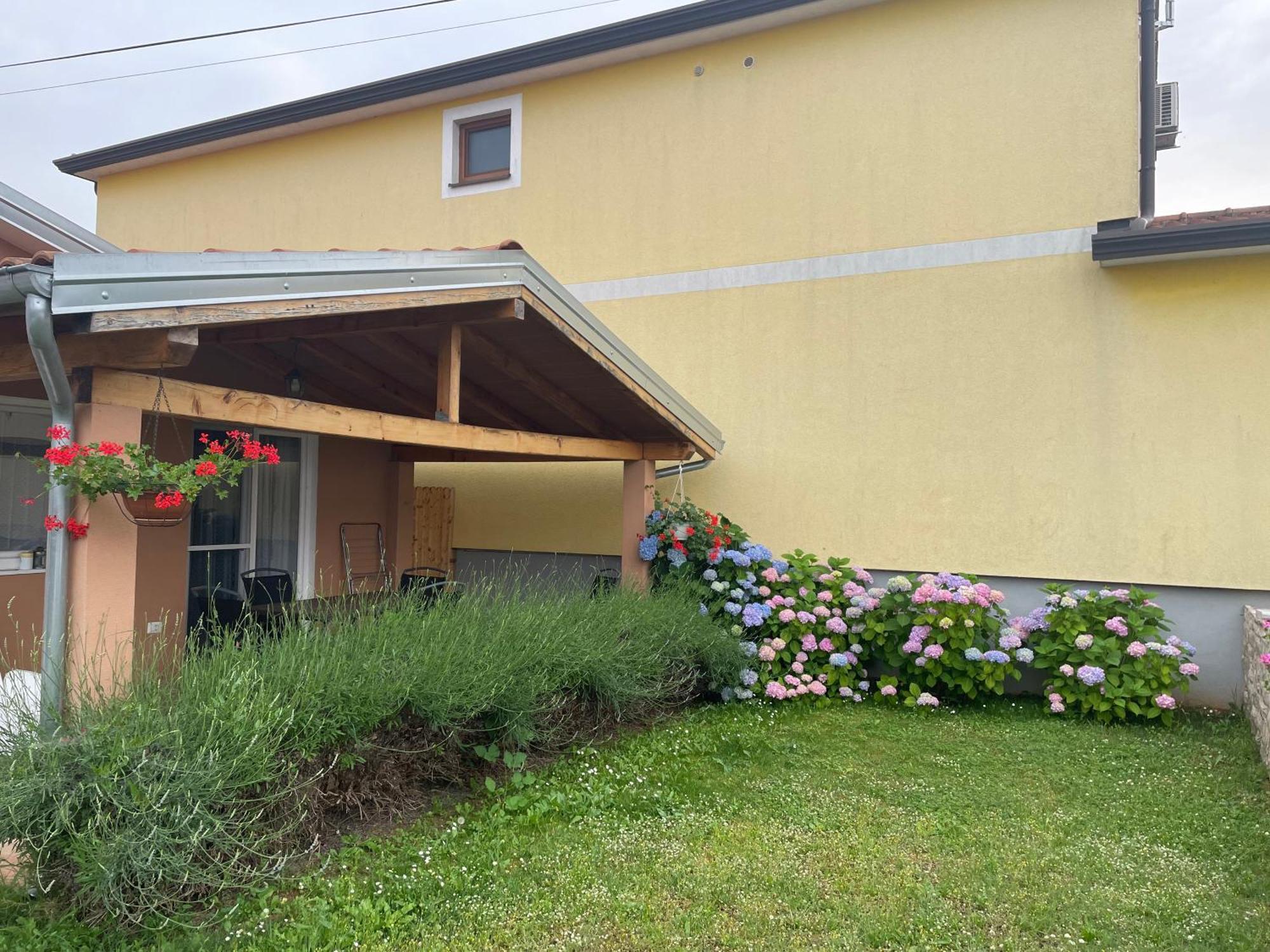 Apartments Dora Poreč Dış mekan fotoğraf