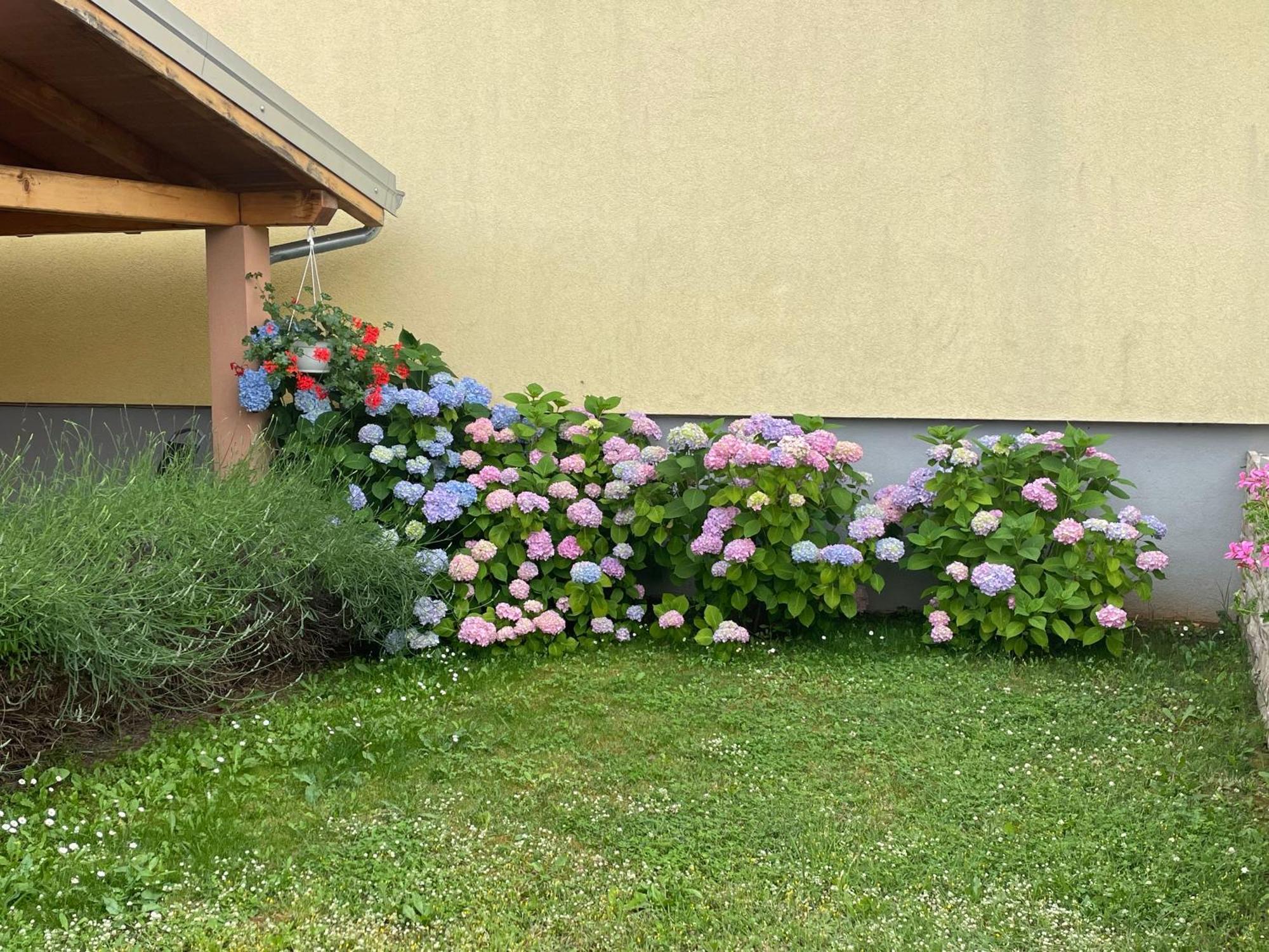 Apartments Dora Poreč Dış mekan fotoğraf