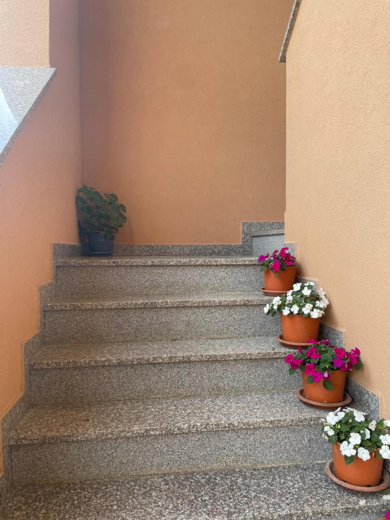 Apartments Dora Poreč Dış mekan fotoğraf